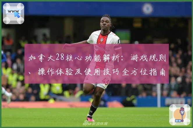 加拿大28核心功能解析：游戏规则、操作体验及使用技巧全方位指南