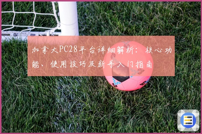 加拿大PC28平台详细解析：核心功能、使用技巧及新手入门指南