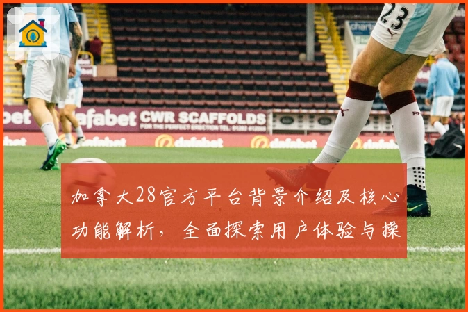 加拿大28官方平台背景介绍及核心功能解析，全面探索用户体验与操作技巧