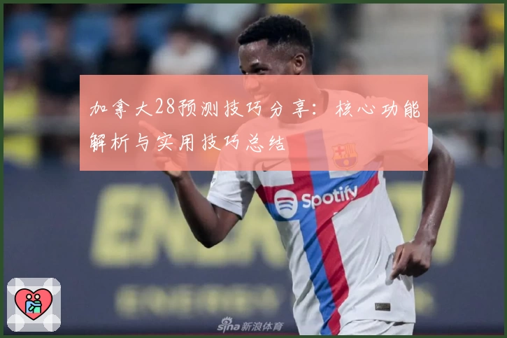 加拿大28预测技巧分享：核心功能解析与实用技巧总结