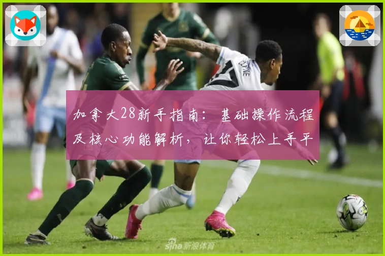 加拿大28新手指南：基础操作流程及核心功能解析，让你轻松上手平台