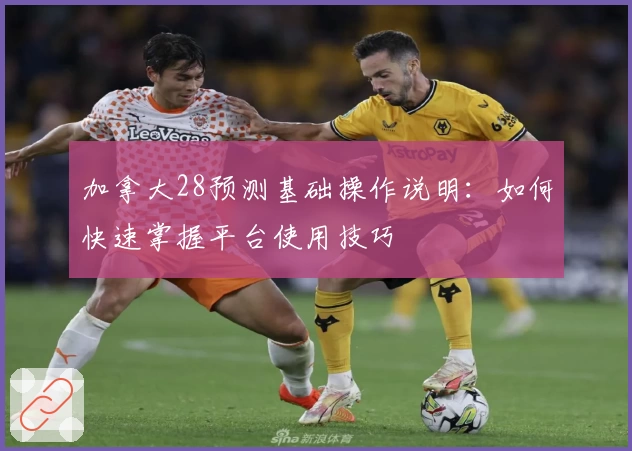 加拿大28预测基础操作说明：如何快速掌握平台使用技巧