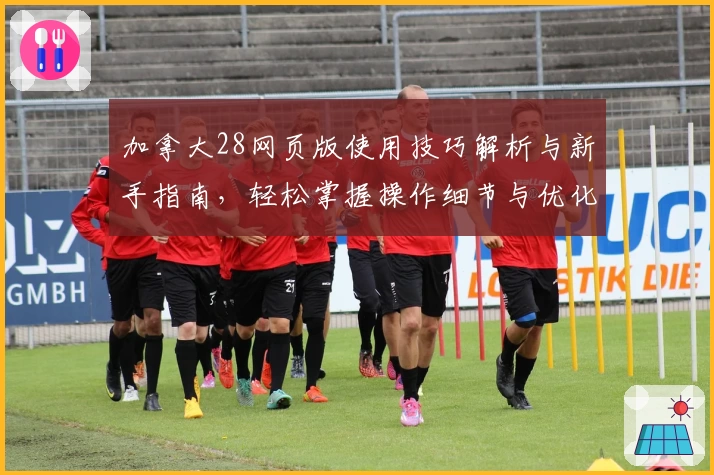加拿大28网页版使用技巧解析与新手指南，轻松掌握操作细节与优化体验