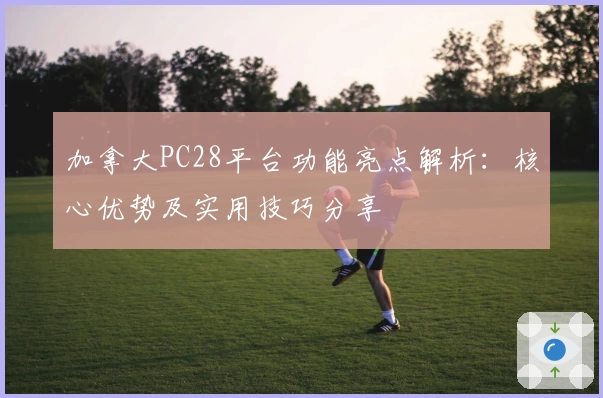 加拿大PC28平台功能亮点解析：核心优势及实用技巧分享