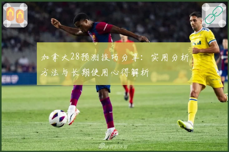 加拿大28预测技巧分享：实用分析方法与长期使用心得解析