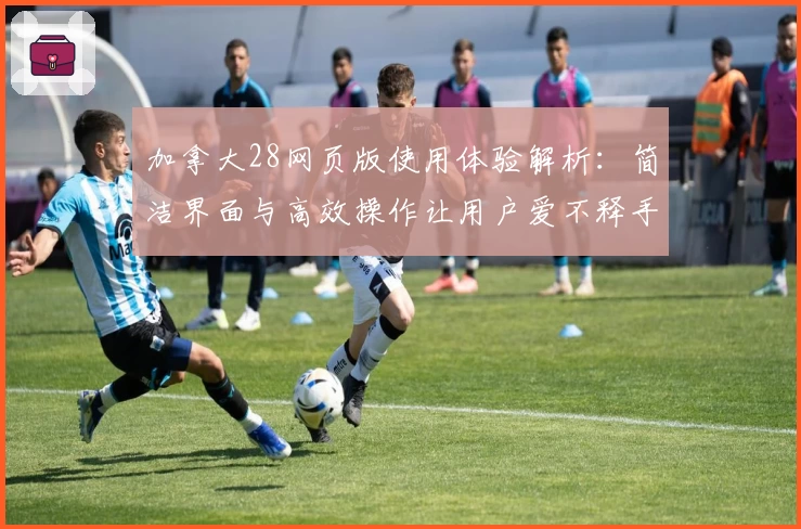 加拿大28网页版使用体验解析：简洁界面与高效操作让用户爱不释手