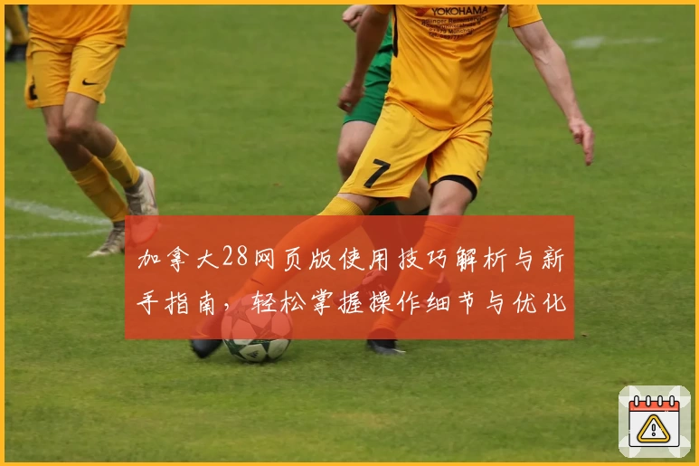 加拿大28网页版使用技巧解析与新手指南，轻松掌握操作细节与优化体验