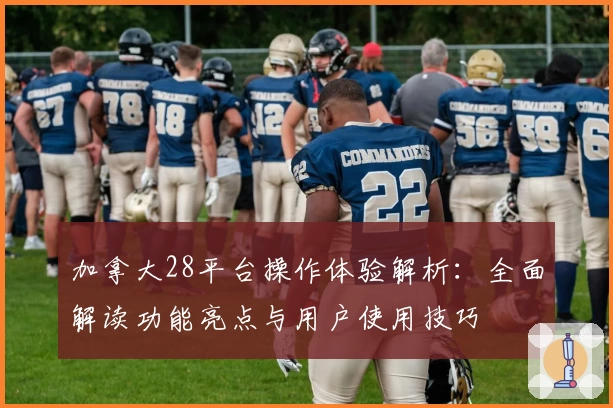 加拿大28平台操作体验解析：全面解读功能亮点与用户使用技巧