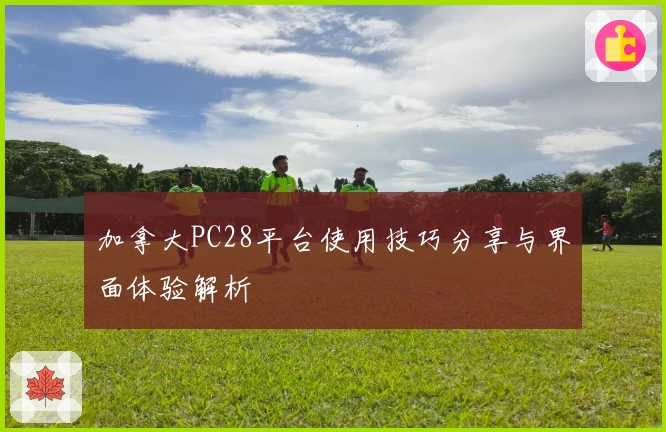 加拿大PC28平台使用技巧分享与界面体验解析