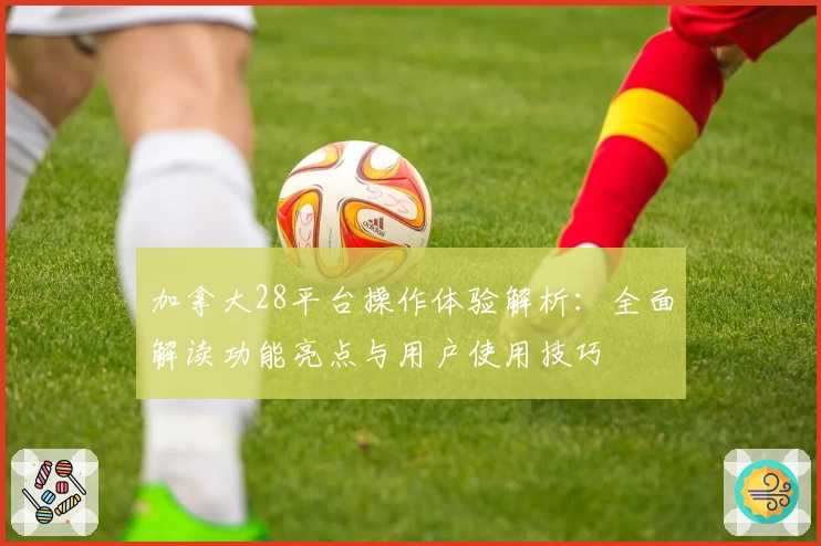 加拿大28平台操作体验解析：全面解读功能亮点与用户使用技巧