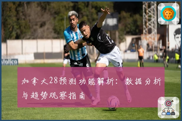 加拿大28预测功能解析：数据分析与趋势观察指南