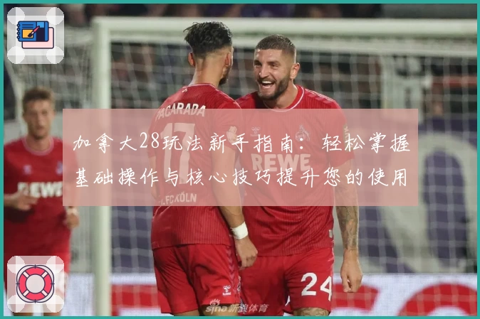 加拿大28玩法新手指南：轻松掌握基础操作与核心技巧提升您的使用体验